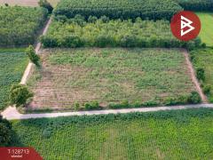 ขายที่ดิน เนื้อที่ 1 ไร่ นิคมสงเคราะห์ อุดรธานี