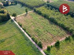 ขายที่ดิน เนื้อที่ 1 ไร่ นิคมสงเคราะห์ อุดรธานี-202512161134101765859650900.jpg