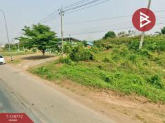 ขายที่ดิน เนื้อที่ 3 งาน วังทอง พิษณุโลก-202512161245101765863910096.jpg