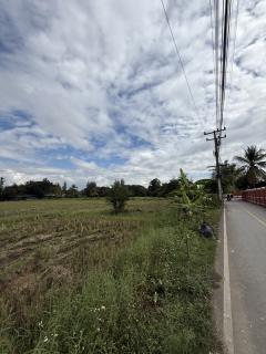 แบ่งขายที่ดิน 14 แปลง ขนาด 75-122 ตารางวา ตั้งอยู่ที่ ตำบลแม่ปูคา อำเภอสันกำแพง จังหวัดเชียงใหม่ (เจ้าของขายเอง) โทร 0806169615-202512161245171765863917438.jpg