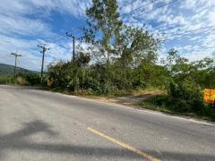 ขายที่ดินเปล่า ซอยบ้านวังทิพย์ ใกล้อ่างเก็บน้ําห้วยปรือ นครนายก-202512161323211765866201299.jpg