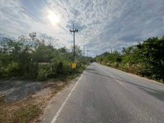 ขายที่ดินเปล่า ซอยบ้านวังทิพย์ ใกล้อ่างเก็บน้ําห้วยปรือ นครนายก-202512161323231765866203728.jpg