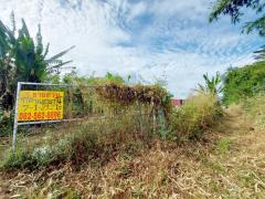 ขายที่ดินเปล่า ซอยบ้านวังทิพย์ ใกล้อ่างเก็บน้ําห้วยปรือ นครนายก-202512161323251765866205498.jpg