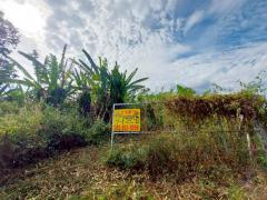 ขายที่ดินเปล่า ซอยบ้านวังทิพย์ ใกล้อ่างเก็บน้ําห้วยปรือ นครนายก-202512161323261765866206200.jpg