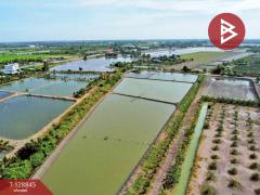 ขายที่ดิน เนื้อที่ 22 ไร่ 1 งาน 62 ตร.วา บางเลน นครปฐม