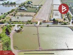 ขายที่ดิน เนื้อที่ 22 ไร่ 1 งาน 62 ตร.วา บางเลน นครปฐม-202512161426001765869960729.jpg