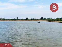 ขายที่ดิน เนื้อที่ 22 ไร่ 1 งาน 62 ตร.วา บางเลน นครปฐม-202512161426011765869961388.jpg