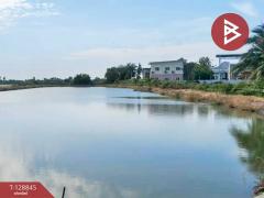 ขายที่ดิน เนื้อที่ 22 ไร่ 1 งาน 62 ตร.วา บางเลน นครปฐม-202512161426021765869962005.jpg