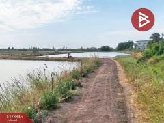 ขายที่ดิน เนื้อที่ 22 ไร่ 1 งาน 62 ตร.วา บางเลน นครปฐม-202512161426031765869963277.jpg