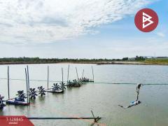 ขายที่ดิน เนื้อที่ 22 ไร่ 1 งาน 62 ตร.วา บางเลน นครปฐม-202512161426031765869963855.jpg