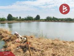 ขายที่ดิน เนื้อที่ 22 ไร่ 1 งาน 62 ตร.วา บางเลน นครปฐม-202512161426041765869964591.jpg