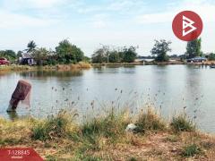 ขายที่ดิน เนื้อที่ 22 ไร่ 1 งาน 62 ตร.วา บางเลน นครปฐม-202512161426051765869965785.jpg