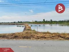 ขายที่ดิน เนื้อที่ 22 ไร่ 1 งาน 62 ตร.วา บางเลน นครปฐม-202512161426061765869966365.jpg