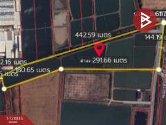 ขายที่ดิน เนื้อที่ 22 ไร่ 1 งาน 62 ตร.วา บางเลน นครปฐม-202512161426061765869966942.jpg