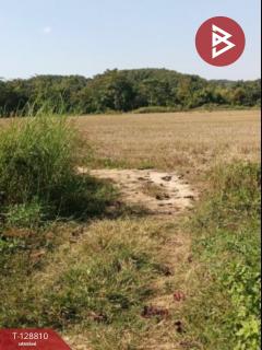 ขายที่ดิน เนื้อที่ 10 ไร่ 2 งาน 80.2 ตร.วา ดอยหลวง เชียงราย