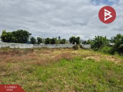 ขายที่ดินถมแล้ว เนื้อที่ 1 ไร่ 1 งาน นาป่า ชลบุรี-202512161609361765876176522.jpg