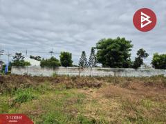 ขายที่ดินถมแล้ว เนื้อที่ 1 ไร่ 1 งาน นาป่า ชลบุรี-202512161609371765876177059.jpg