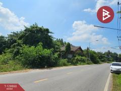 ขายที่ดิน เนื้อที่ 5 ไร่ 1 งาน 30 ตารางวา อ.ปักธงชัย นครราชสีมา-202512161727371765880857513.jpg