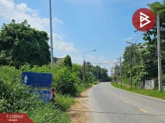 ขายที่ดิน เนื้อที่ 5 ไร่ 1 งาน 30 ตารางวา อ.ปักธงชัย นครราชสีมา-202512161727381765880858385.jpg