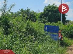 ขายที่ดิน เนื้อที่ 5 ไร่ 1 งาน 30 ตารางวา อ.ปักธงชัย นครราชสีมา-202512161727381765880858935.jpg