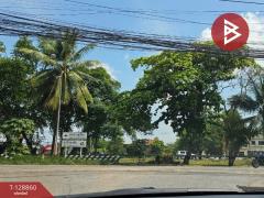 ขายที่ดิน เนื้อที่ 5 ไร่ 1 งาน 30 ตารางวา อ.ปักธงชัย นครราชสีมา-202512161727401765880860183.jpg