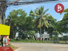 ขายที่ดิน เนื้อที่ 5 ไร่ 1 งาน 30 ตารางวา อ.ปักธงชัย นครราชสีมา-202512161727401765880860723.jpg