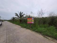 ร้อนเงินขายถูกที่สุดที่ดินบ้านกลาง 244 ตรว ติดถนนคอนกรีตสาธารณะ ซ.โม่ฮวด 7 เมืองปทุมธานี 