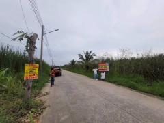 ร้อนเงินขายถูกที่สุดที่ดินบ้านกลาง 244 ตรว ติดถนนคอนกรีตสาธารณะ ซ.โม่ฮวด 7 เมืองปทุมธานี -202512162246351765899995738.jpg