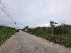 ร้อนเงินขายถูกที่สุดที่ดินบ้านกลาง 244 ตรว ติดถนนคอนกรีตสาธารณะ ซ.โม่ฮวด 7 เมืองปทุมธานี -202512162246361765899996283.jpg