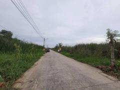 ร้อนเงินขายถูกที่สุดที่ดินบ้านกลาง 244 ตรว ติดถนนคอนกรีตสาธารณะ ซ.โม่ฮวด 7 เมืองปทุมธานี -202512162246361765899996832.jpg