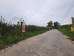 ร้อนเงินขายถูกที่สุดที่ดินบ้านกลาง 244 ตรว ติดถนนคอนกรีตสาธารณะ ซ.โม่ฮวด 7 เมืองปทุมธานี -202512162246371765899997390.jpg