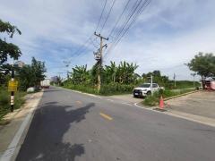 ร้อนเงินขายถูกที่สุดที่ดินบ้านกลาง 244 ตรว ติดถนนคอนกรีตสาธารณะ ซ.โม่ฮวด 7 เมืองปทุมธานี -202512162246371765899997938.jpg