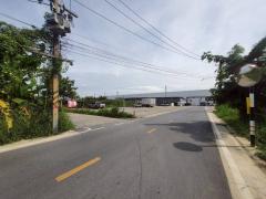 ร้อนเงินขายถูกที่สุดที่ดินบ้านกลาง 244 ตรว ติดถนนคอนกรีตสาธารณะ ซ.โม่ฮวด 7 เมืองปทุมธานี -202512162246381765899998790.jpg