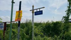 ร้อนเงินขายถูกที่สุดที่ดินบ้านกลาง 244 ตรว ติดถนนคอนกรีตสาธารณะ ซ.โม่ฮวด 7 เมืองปทุมธานี -202512162246391765899999328.jpg