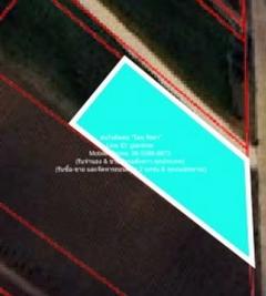 ที่ดิน ขายที่ดินไร่สวนทางการเกษตร (ติดถนน และติดเขา) ขนาด 0 ตร.วา 0 ngan 1 Rai 550000 บ.   บรรยากาศ ดี อุทัยธานี   