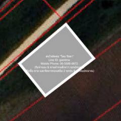 พื้นที่ดิน ขายที่ดินไร่สวนทางการเกษตร (ติดถนน และติดเขา) 0 RAI 3 Ngan 0 ตารางวา  397500 THAI BAHT   บรรยากาศน่าอยู่ อุทัยธานี   