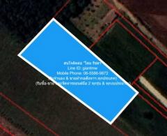 ที่ดิน ขายที่ดินไร่สวนทางการเกษตร (ติดถนน และติดเขา) 1192205 บาท.  78 ตร.วา 0 Ngan 2 Rai ใกล้ จุดชมวิวเขาช่องลม เขาช่องลม คุ้มค่า