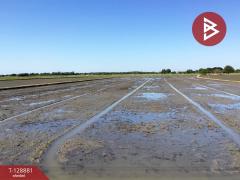 ขายที่ดินเปล่า เนื้อที่ 3 ไร่ 2.2 ตารางวา ทับตีเหล็ก สุพรรณบุรี-202512170927031765938423864.jpg