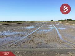 ขายที่ดินเปล่า เนื้อที่ 3 ไร่ 2.2 ตารางวา ทับตีเหล็ก สุพรรณบุรี-202512170927041765938424395.jpg