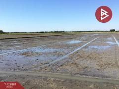 ขายที่ดินเปล่า เนื้อที่ 3 ไร่ 2.2 ตารางวา ทับตีเหล็ก สุพรรณบุรี-202512170927051765938425164.jpg