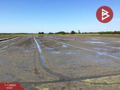 ขายที่ดินเปล่า เนื้อที่ 3 ไร่ 2.2 ตารางวา ทับตีเหล็ก สุพรรณบุรี-202512170927051765938425747.jpg