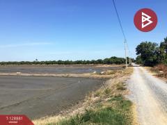 ขายที่ดินเปล่า เนื้อที่ 3 ไร่ 2.2 ตารางวา ทับตีเหล็ก สุพรรณบุรี-202512170927061765938426715.jpg