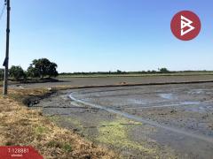 ขายที่ดินเปล่า เนื้อที่ 3 ไร่ 2.2 ตารางวา ทับตีเหล็ก สุพรรณบุรี-202512170927071765938427264.jpg