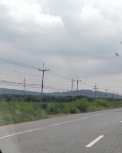 ขายที่สีม่วง 4,5,6 ไร่ ต.บางนาง อ.พานทอง จ.ชลบุรี