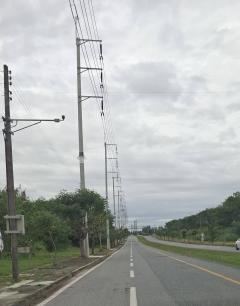 ขายที่สีม่วง 4,5,6 ไร่ ต.บางนาง อ.พานทอง จ.ชลบุรี-202512171020281765941628417.jpg