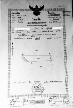 ขายบ้านสวน ทำเลดี 3 ไร่ 1 งาน จังหวัดอุดรธานี-202512171036581765942618539.jpg