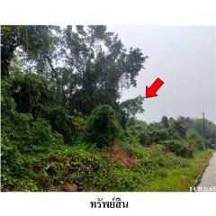 ขายที่ดินโครงการ ชวนชื่นนครินทร์ ถนน กาญจนวนิช (ทล.407) ตำบล น้ำน้อย อำเภอ หาดใหญ่ จังหวัด สงขลา