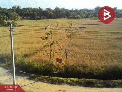 ขายที่ดิน เนื้อที่ 3 ไร่ 2 งาน 74 ตร.วา สันป่าตอง เชียงใหม่-202512171444381765957478679.jpg