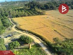 ขายที่ดิน เนื้อที่ 3 ไร่ 2 งาน 74 ตร.วา สันป่าตอง เชียงใหม่-202512171444391765957479749.jpg