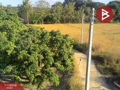 ขายที่ดิน เนื้อที่ 3 ไร่ 2 งาน 74 ตร.วา สันป่าตอง เชียงใหม่-202512171444401765957480822.jpg